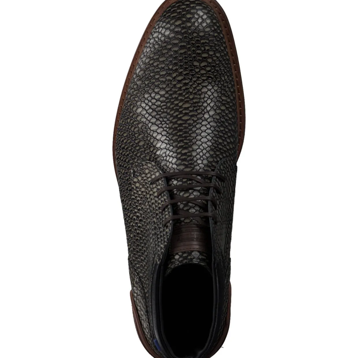 Floris van Bommel 50087, Stiefel, Herren, khaki