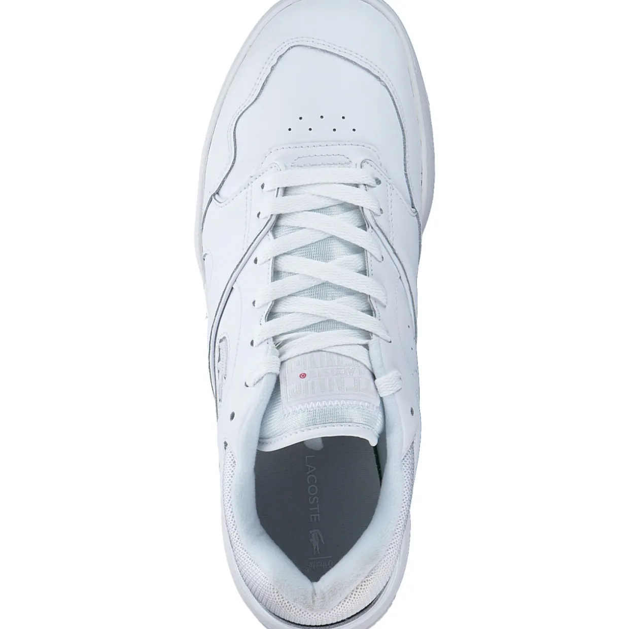 Lacoste Lineshot 46SMA0110, Klassische- & Business Schuhe, Herren, Weiß