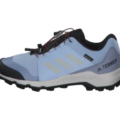 Adidas Terrex GTX K M, Trekkingschuhe, Kinder, bludaw/greone/sogold