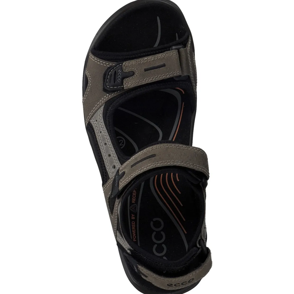 Ecco Offroad 069564, Klassische Sandalen, Herren, VETIVER/WILD DOVE