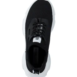Steve Madden Kailyn SM11003078, Schnürschuhe, Damen, Schwarz